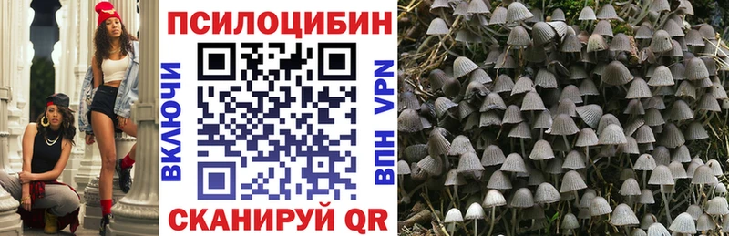 Галлюциногенные грибы Cubensis  Купить  Шали 